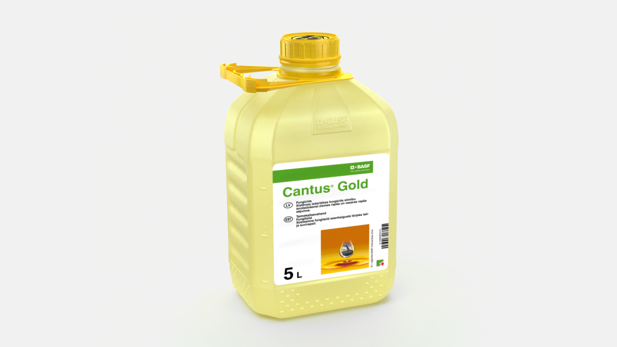 Cantus® Gold - 58233004