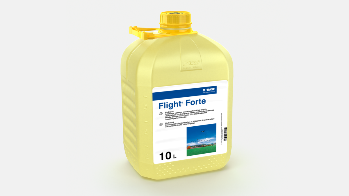 Flight® Forte - 58232762
