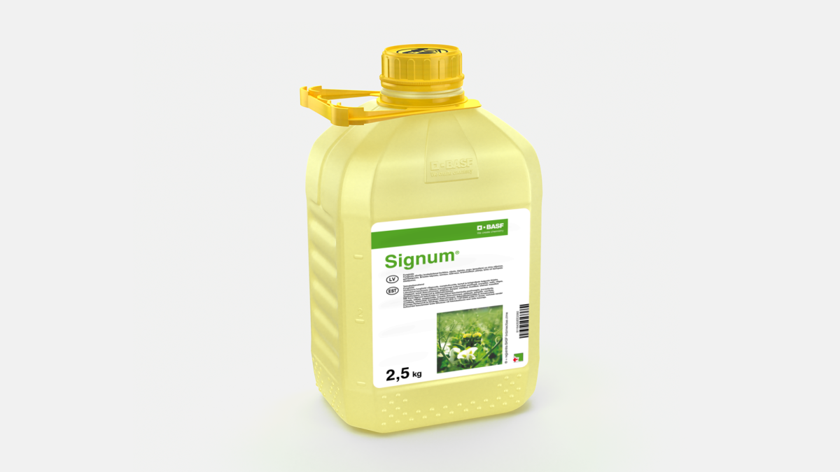 Signum® - 58238962