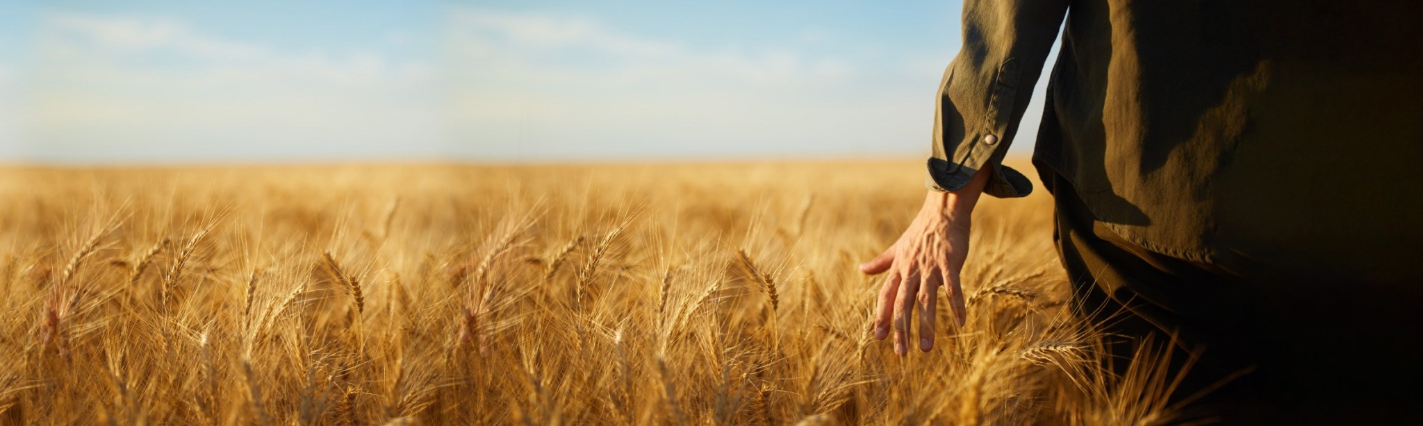 BASF Agro kampaania 2021