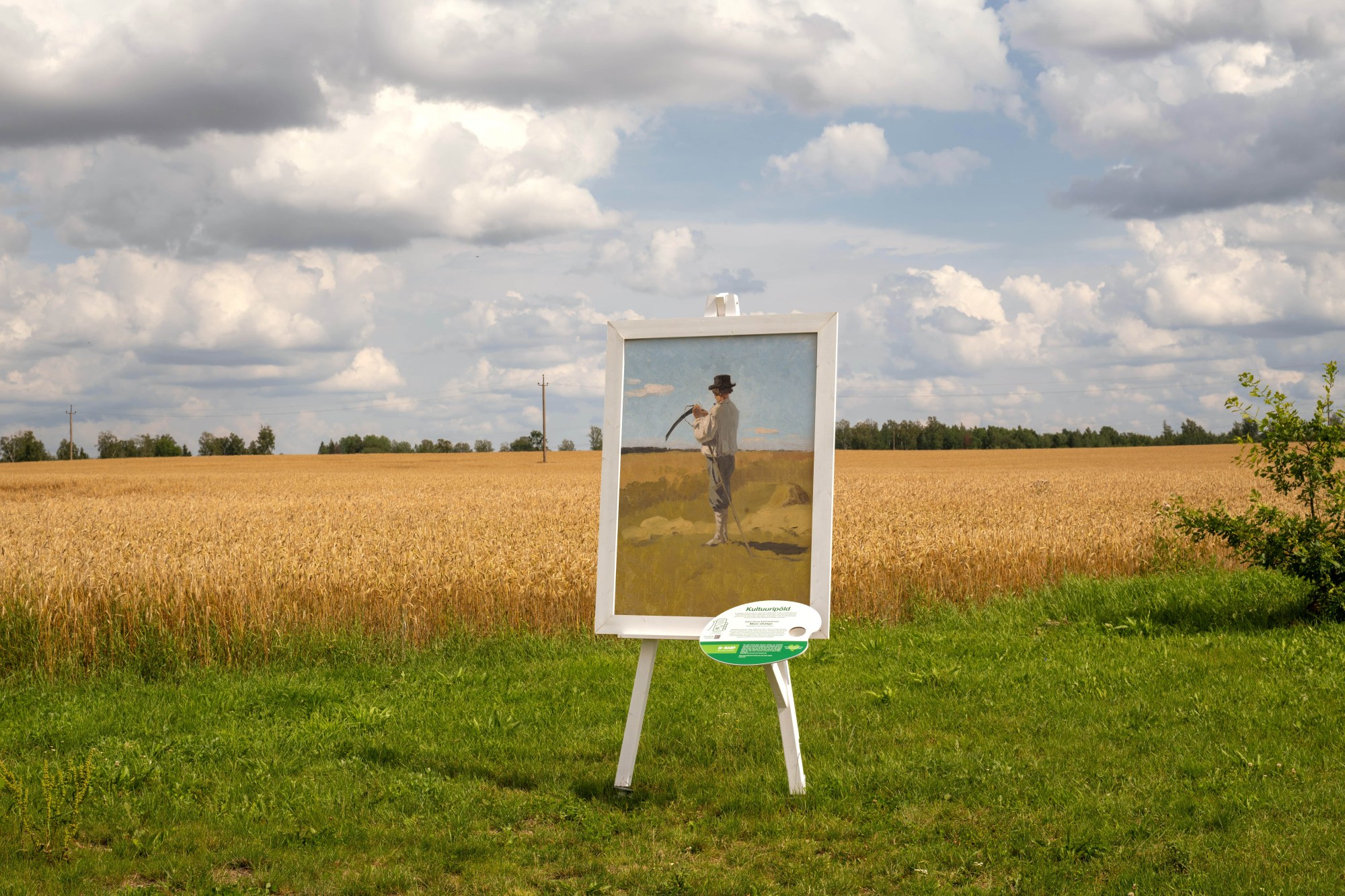 Oskar Georg Adolf Hoffmann “Mees vikatiga” (dateerimata) Tuisumäe OÜ talirukki põllul Lääne-Virumaal