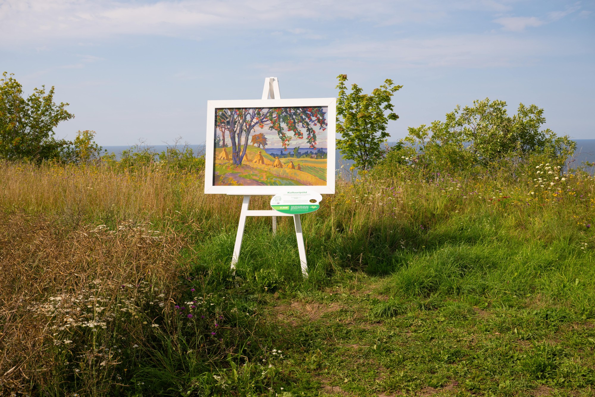 Anatoli Kaigorodov „Sügis“ 1930, Valaste Agro OÜ talirapsi põllul Ida-Virumaal