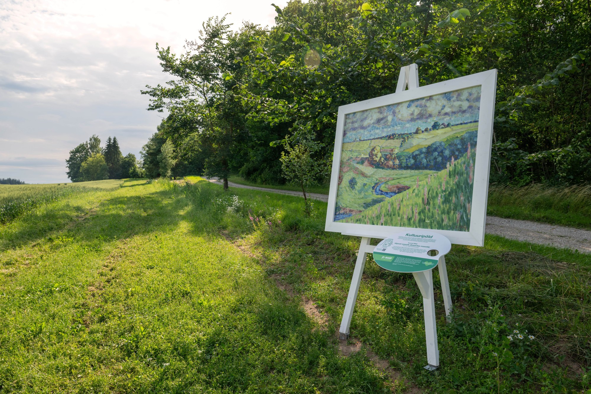 Konrad Mägi „Viljandi maastik (Kasaritsa maastik)“ 1915-1917, Saimre Viljakasvatuse OÜ suvinisu põllul Viljandimaal