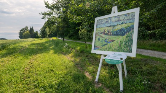 Viljandi maastik (Kasaritsa maastik)