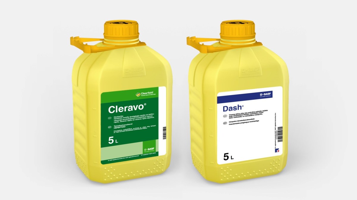 Cleravo Dash